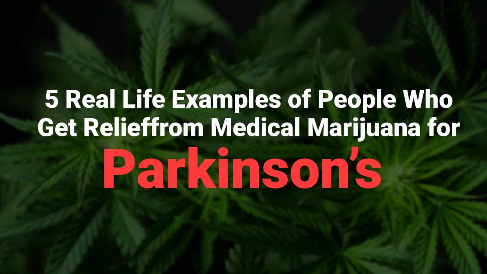 5 Real Life Examples of People Who Get Relief from Medical Marijuana ...