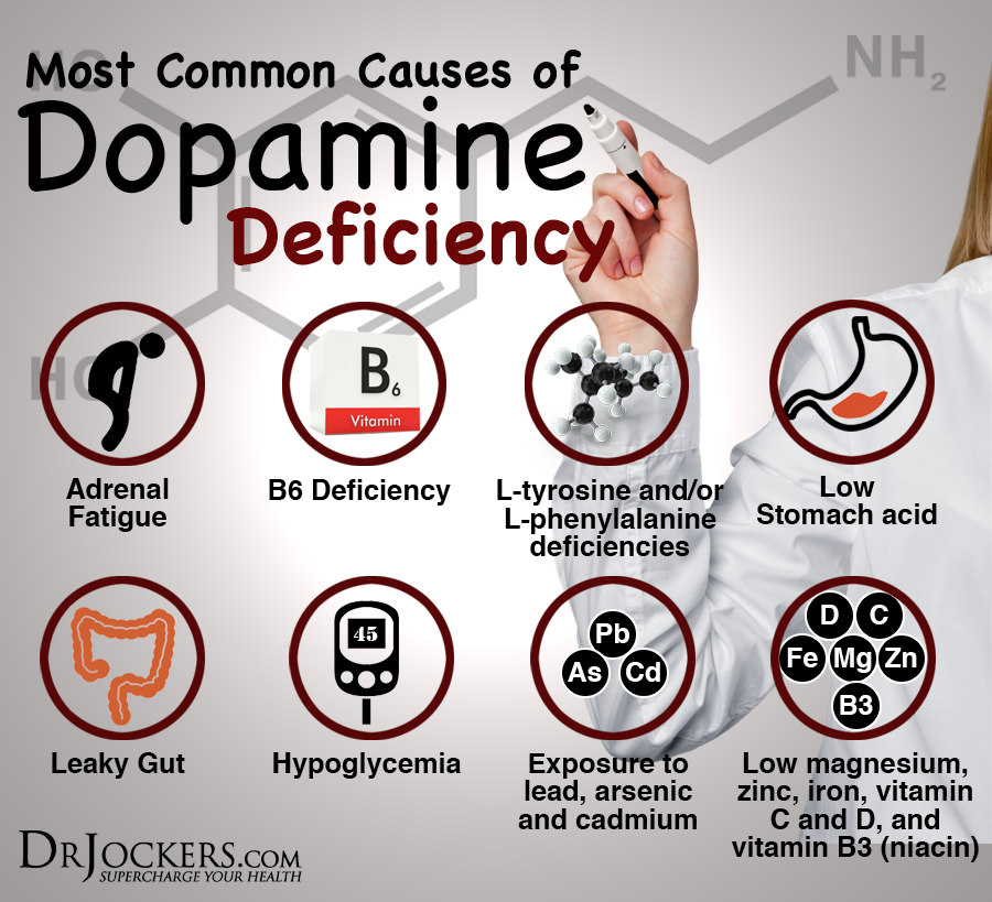 6 Great Foods That Increase Dopamine Levels