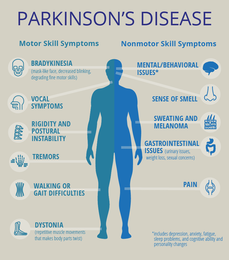 A novel tool to help gain deeper insight into Parkinsons disease