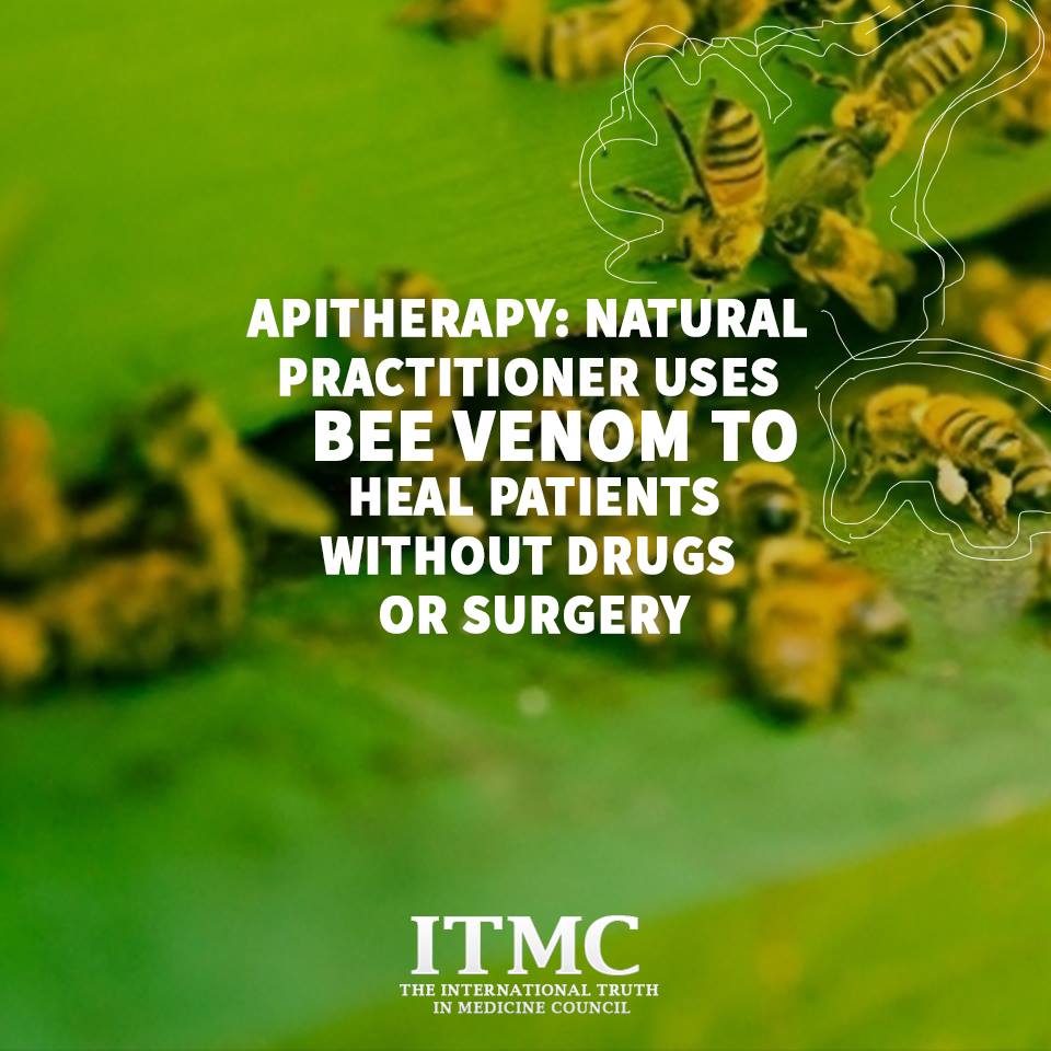 Apitherapy: Natural practitioner uses bee venom to heal patients ...
