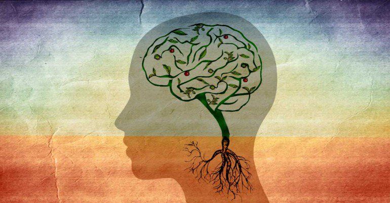 Ashwagandha For Alzheimers And Parkinsons Disease ...