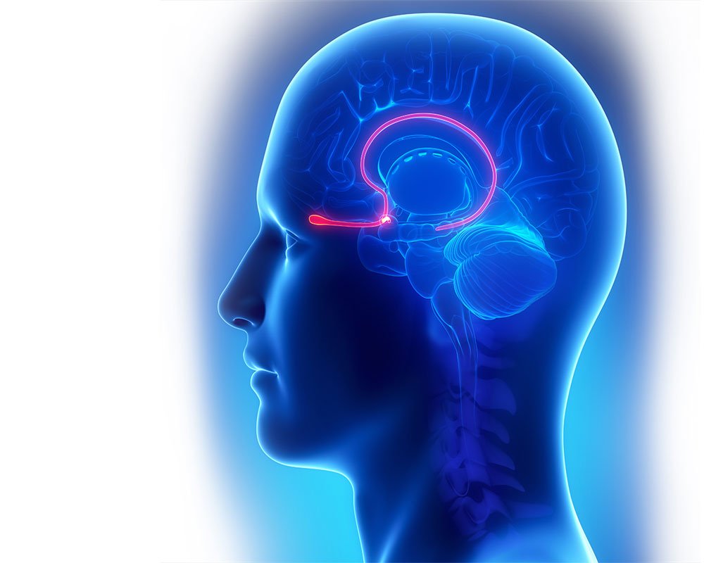 Brain scans can detect Parkinson