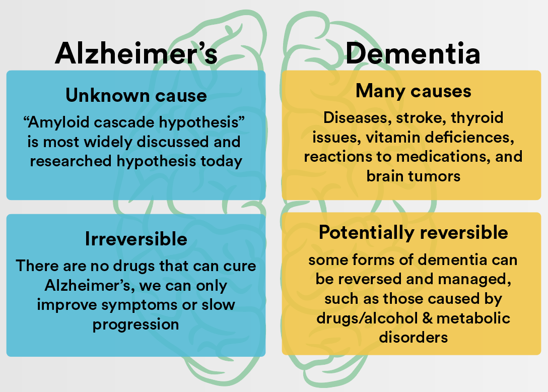 Dementia vs Alzheimers: What is the Difference?