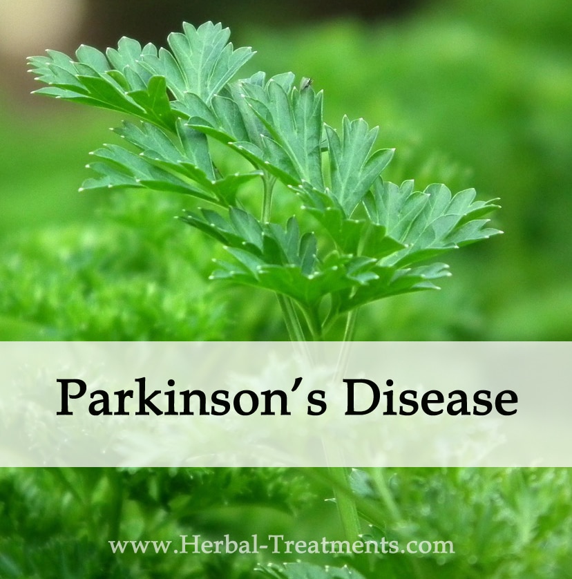 Herbal Medicine for Parkinson