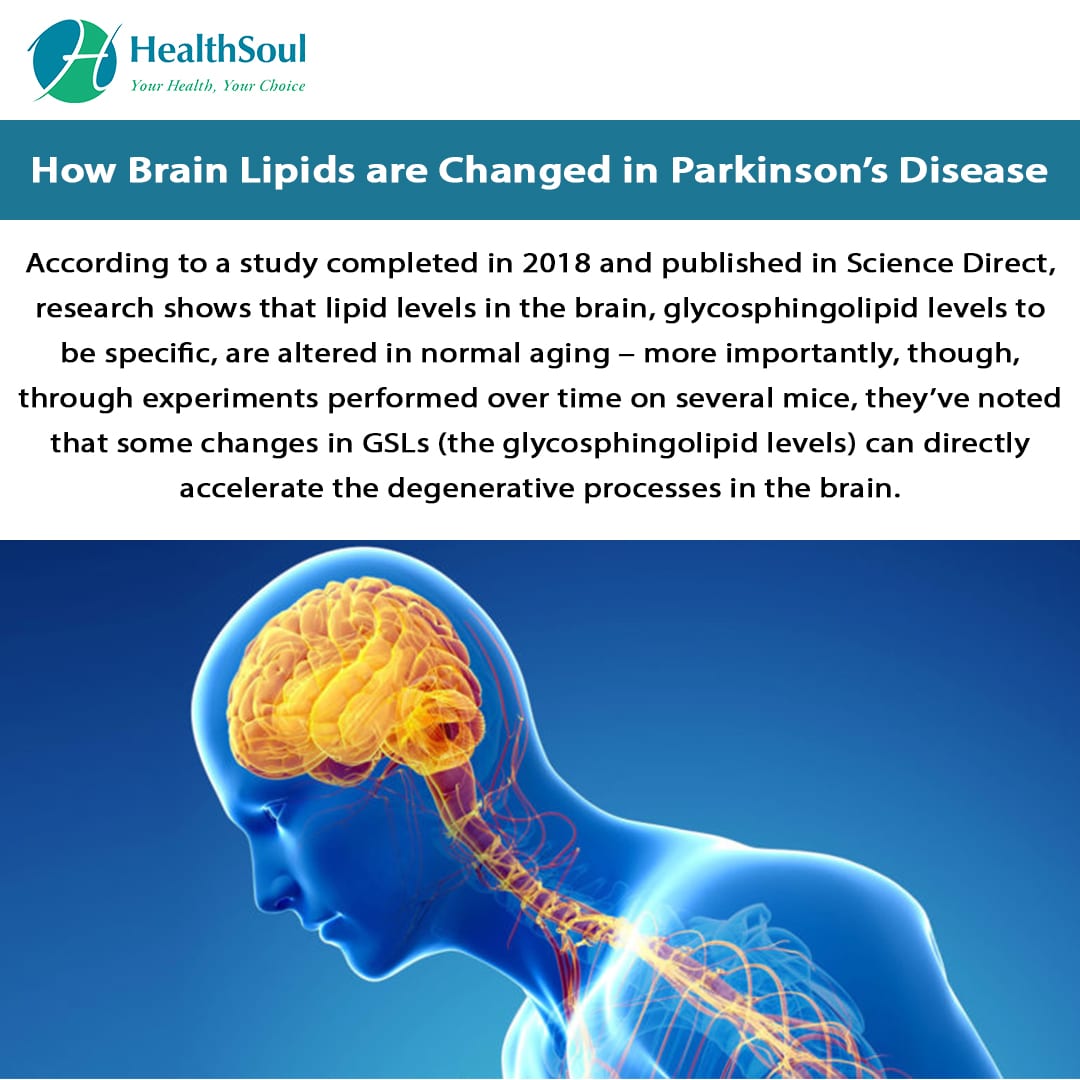 How Brain Lipids are Changed in Parkinsons Disease