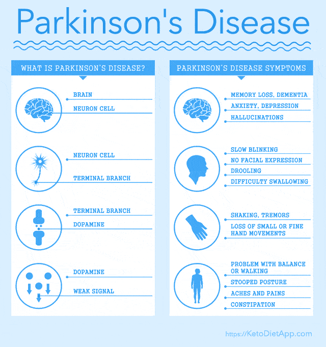 Ketogenic Diet and Parkinson