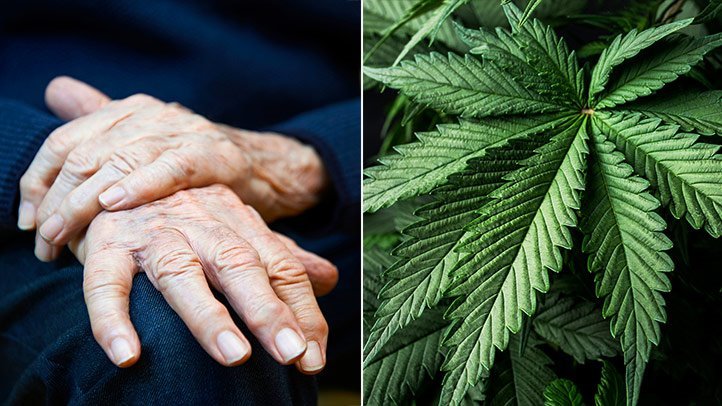 Medical Marijuana and Parkinsons Disease: Is It Safe ...