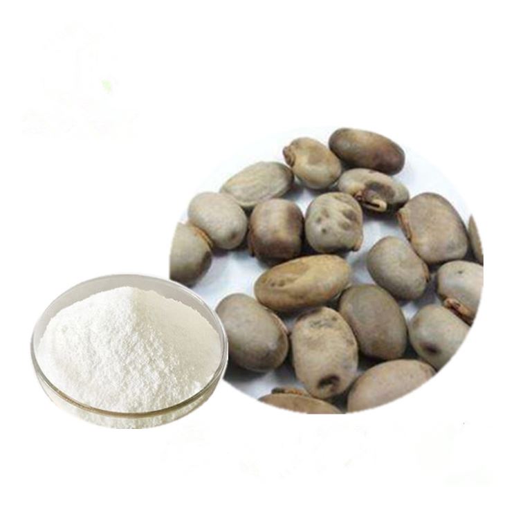 Mucuna Pruriens Extract Suppliers and Manufacturers