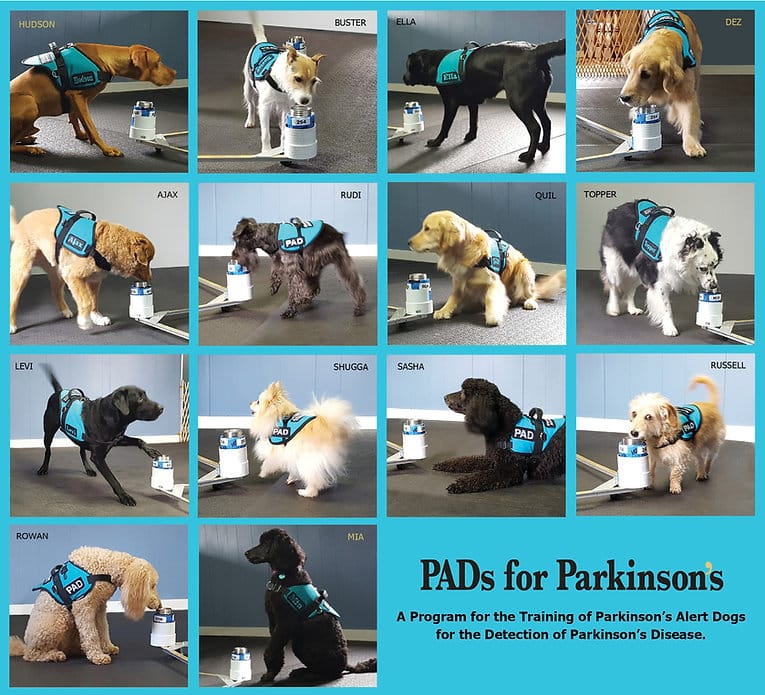 PADs for Parkinson