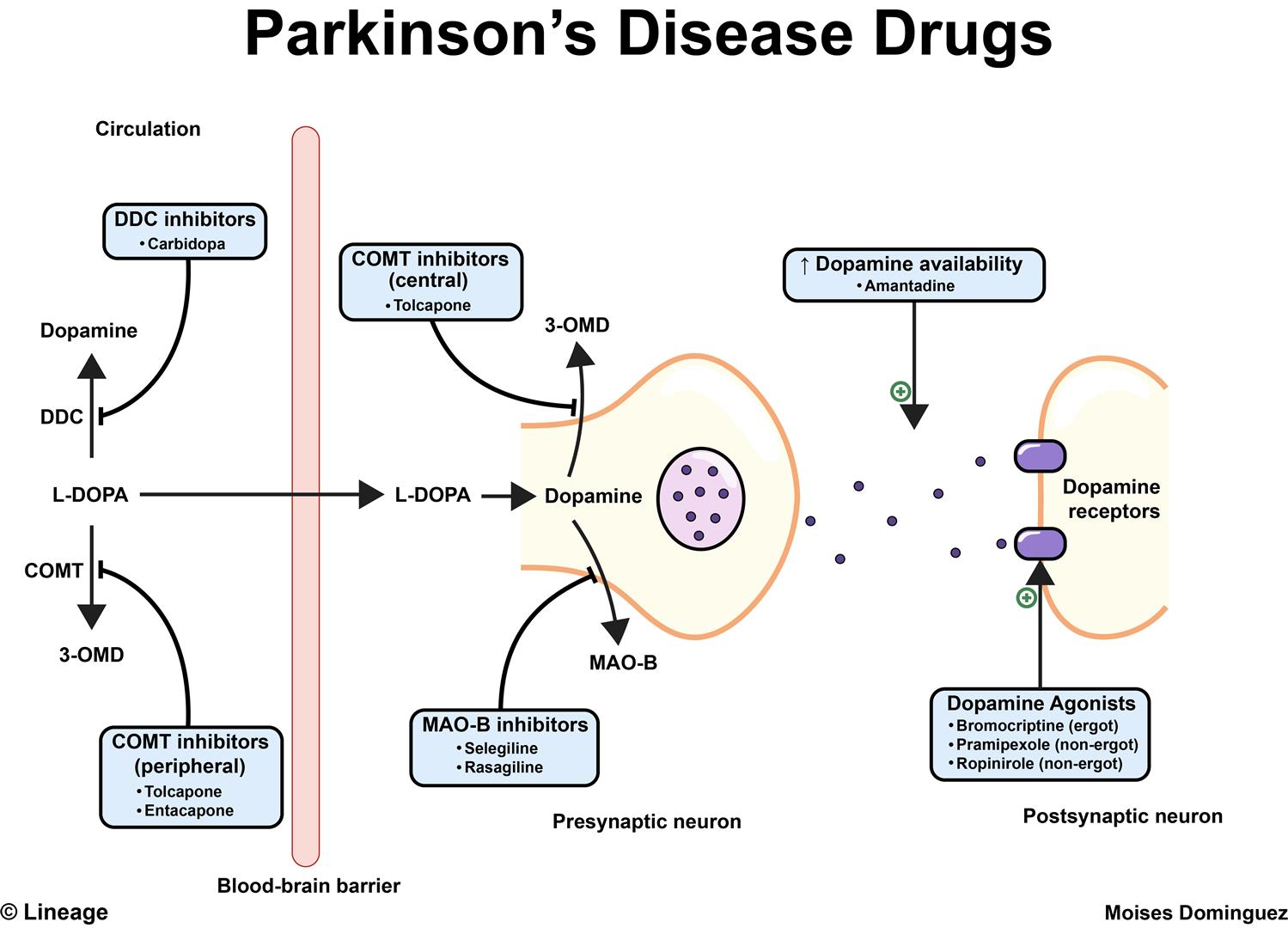 Parkinson Disease Drugs