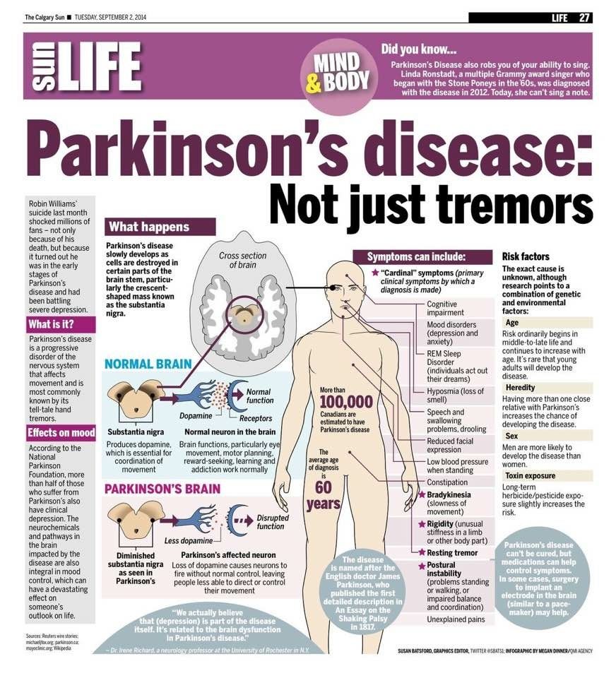Parkinson Disease Stages Death