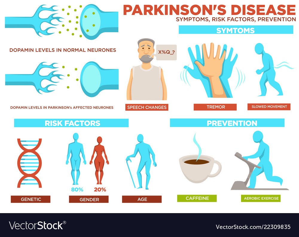 Parkinson disease symptom risk factors and Vector Image