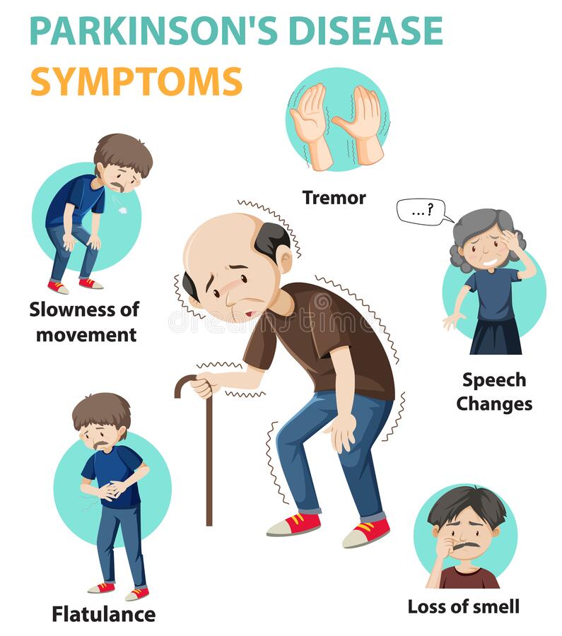 Parkinson Disease Symptoms Infographic Stock Vector