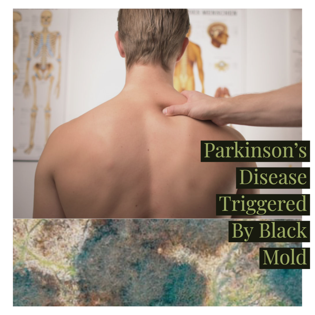 Parkinsons Disease and Mold