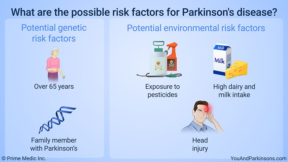 What are the possible risk factors for Parkinson