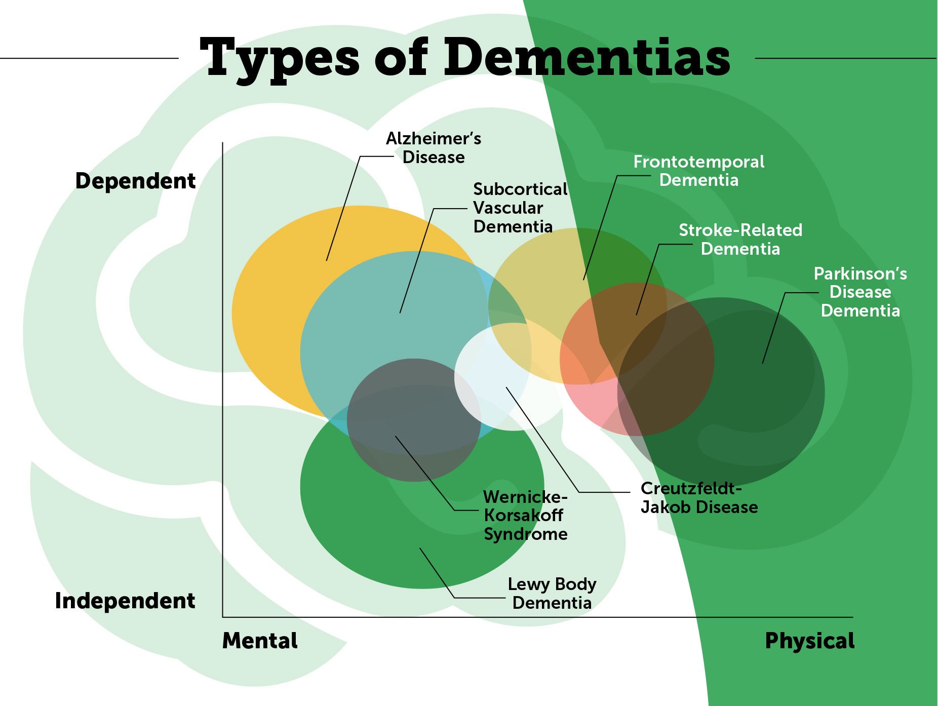 What is Dementia? Dementia vs Alzheimer