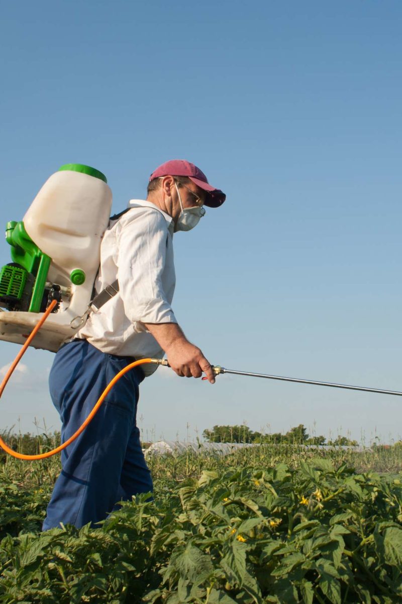 Why pesticides may cause Parkinson