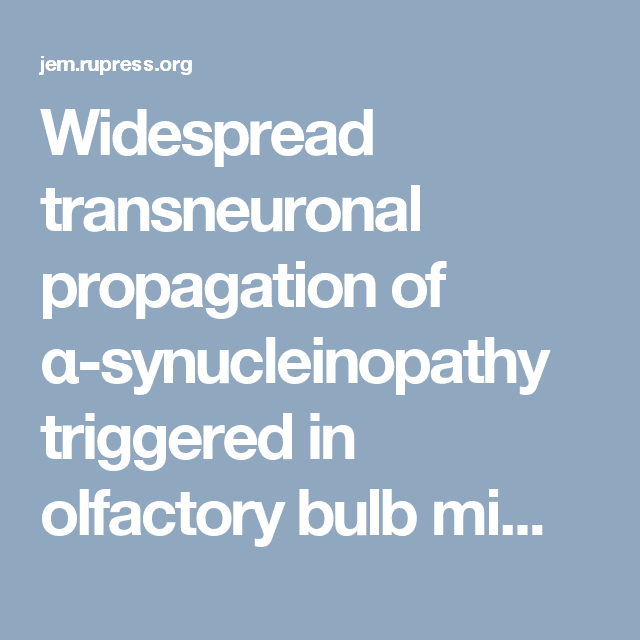Widespread transneuronal propagation of